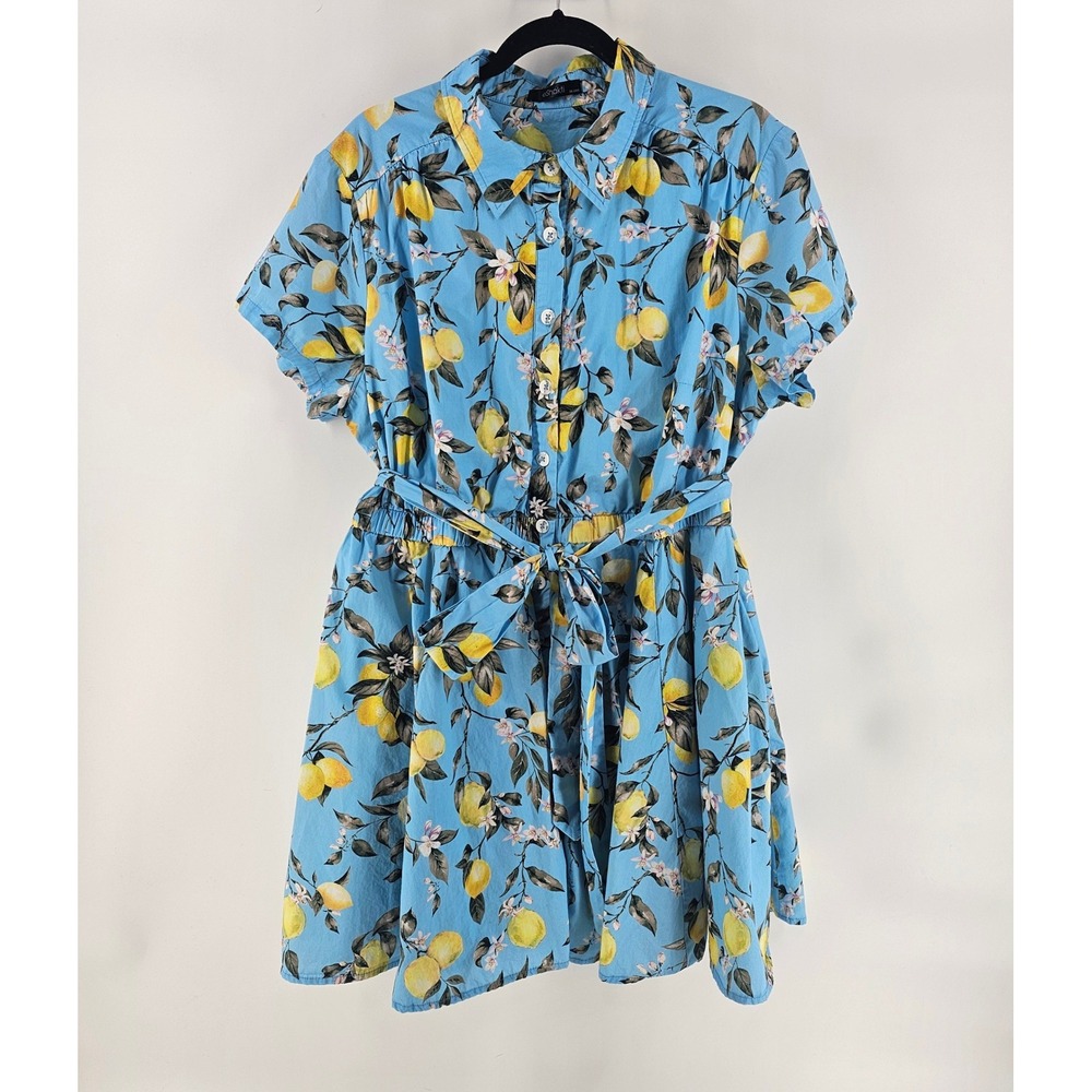 eShakti Lemon Print Shirtdress Womens 3X Blue Fruit Floral Pockets Euro Summer